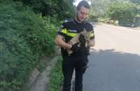 „DINCOLO DE UNIFORMĂ” CU OCAZIA ZILEI POLIȚIEI ROMÂNE – 25 MARTIE