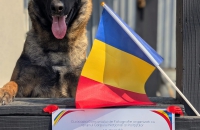 25 MARTIE 2026, 204 ANI DE ATESTARE A POLIȚIEI ROMÂNE