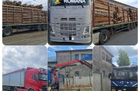 Sechestru instituit asupra a 8 autoutilitare și 7 remorci utilizate la transporturi de materiale lemnoase în mod ilicit