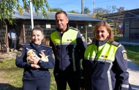 UN CADOU PENTRU CODIȚĂ – DE ZIUA INTERNAȚIONALĂ A ANIMALELOR, POLIȚIȘTII AU FOST ALĂTURI DE PRIETENII NECUVÂNTĂTORI